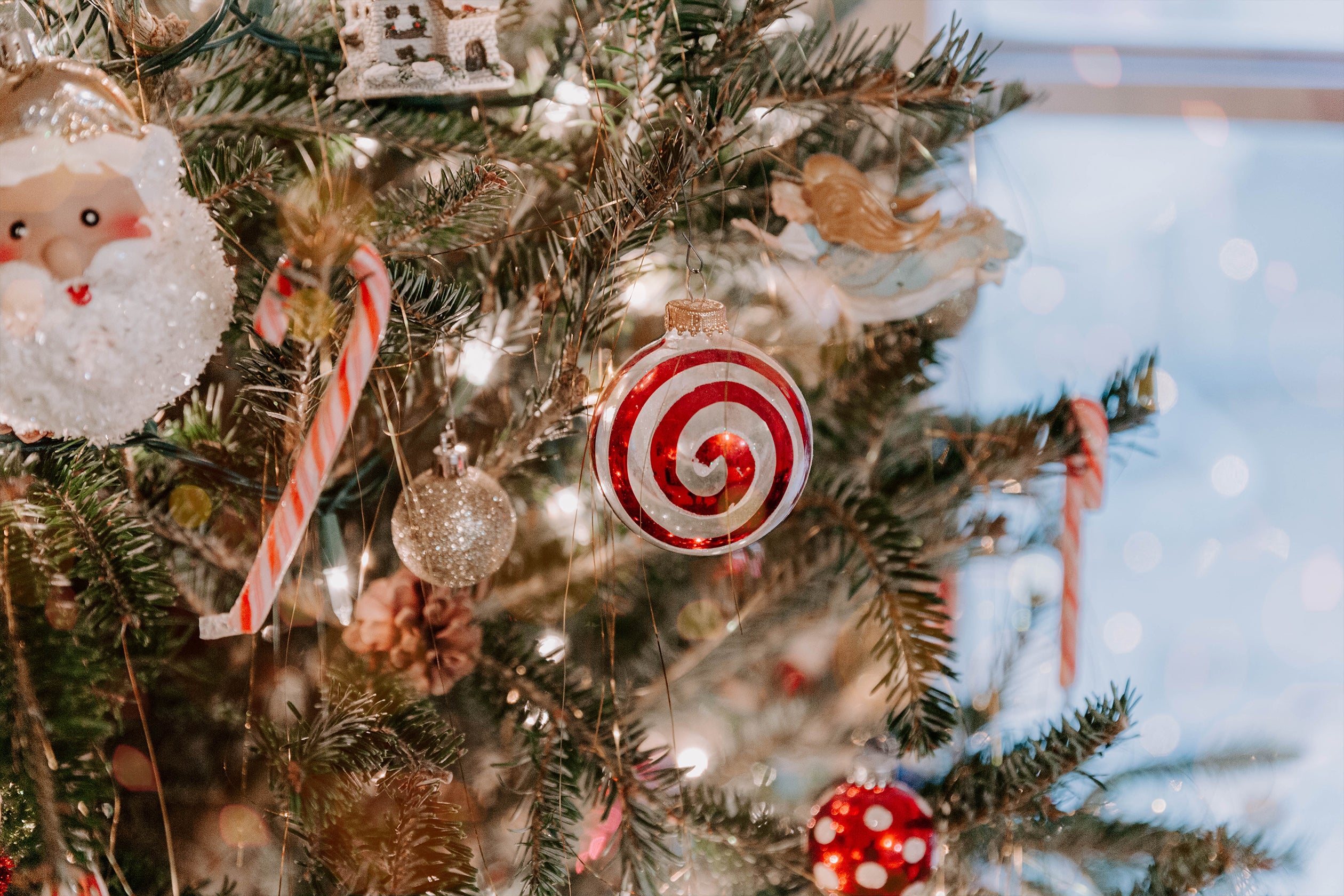 8 Eco-Friendly Christmas Ideas to Inspire You (Part 1)