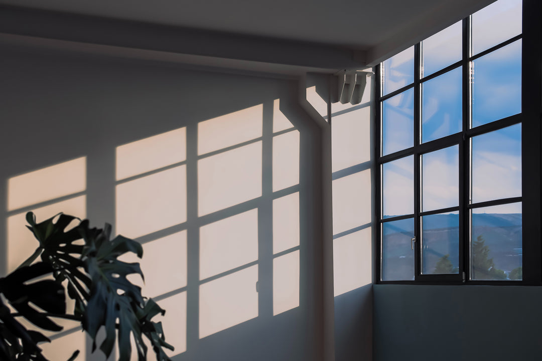 Product in Focus - Ammonia Free Window &amp; Glass Cleaner