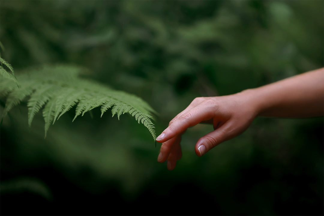 Let's talk about eco responsibility