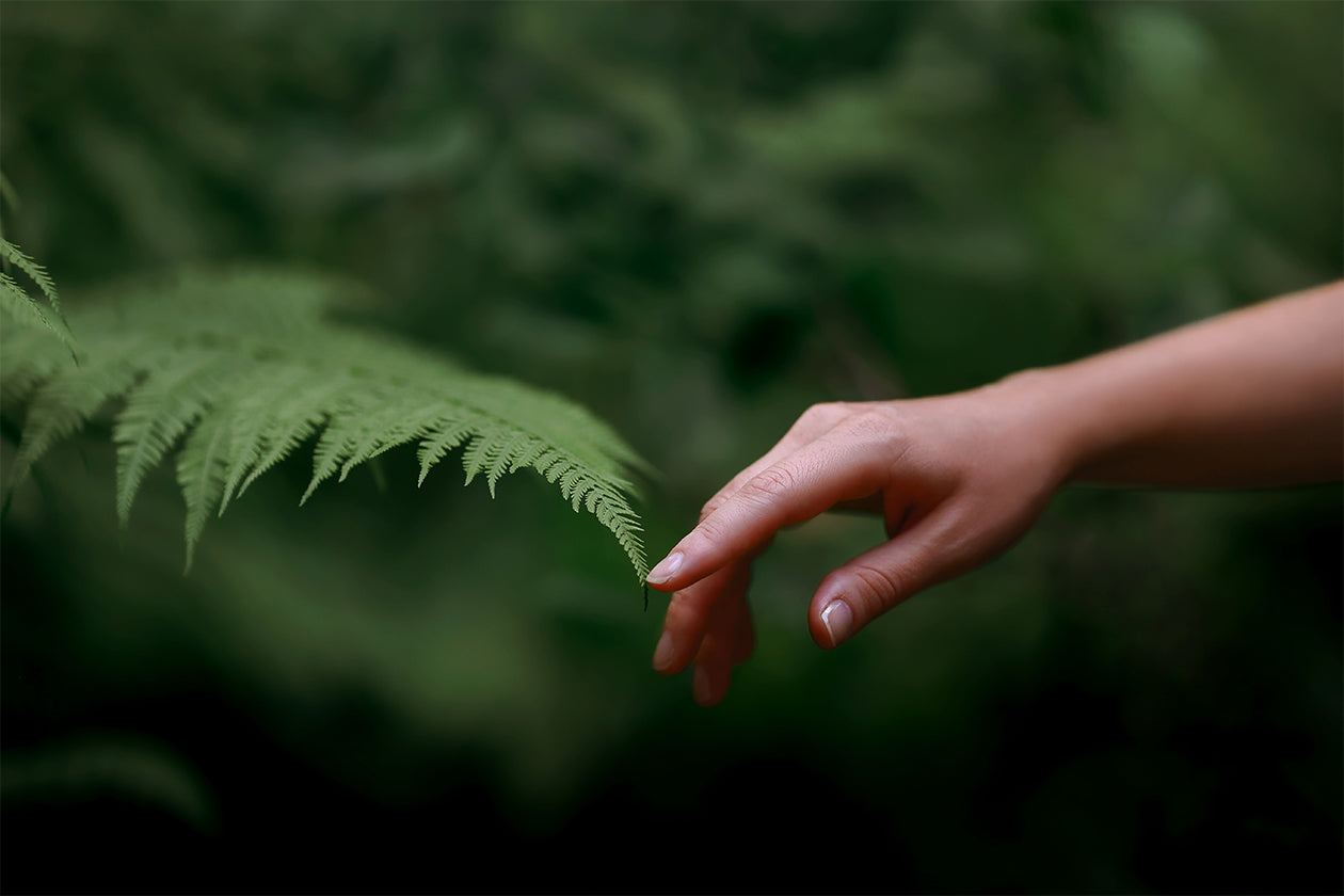 Let's talk about eco responsibility
