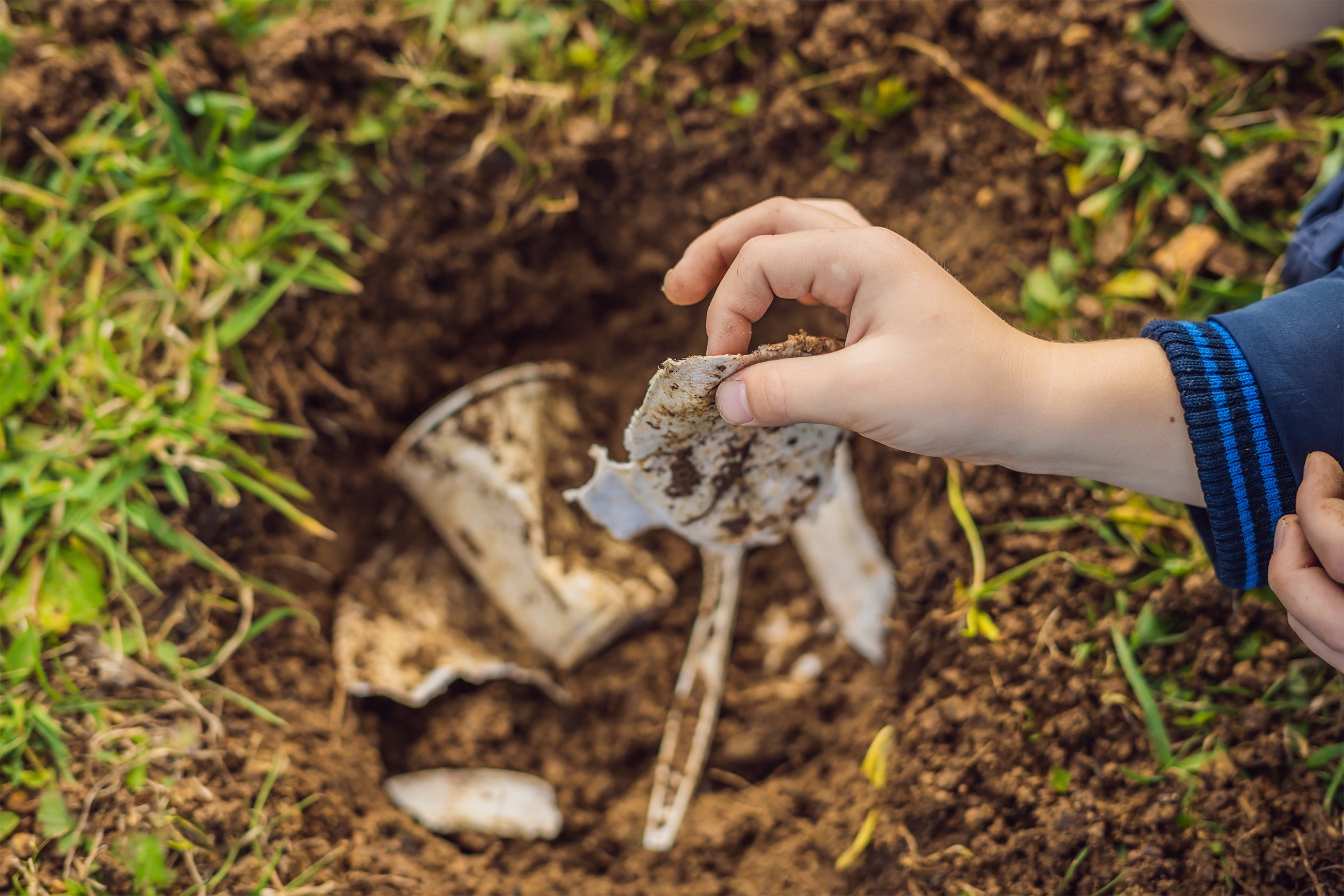 From the Lab: Biodegradable