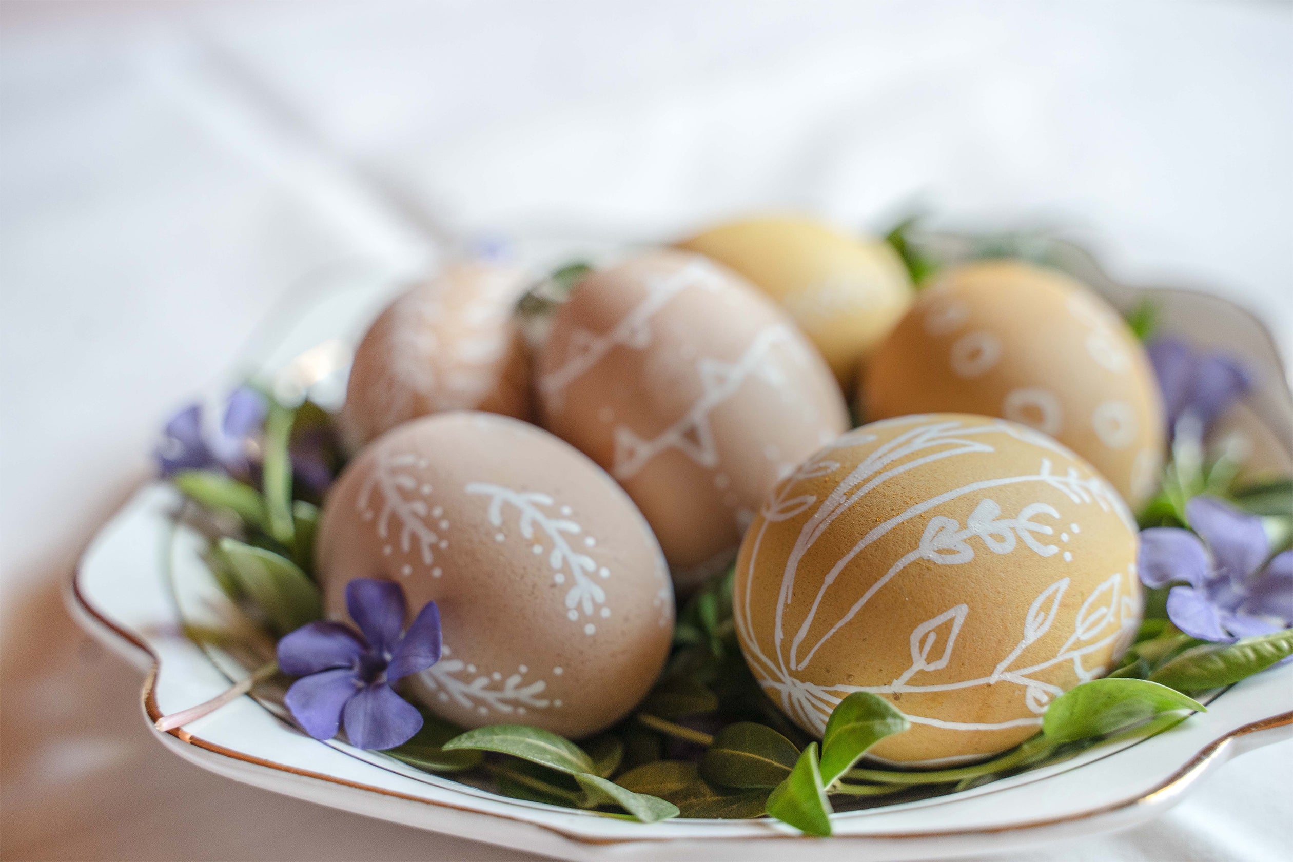 Happy Easter: A Message From Tri Nature