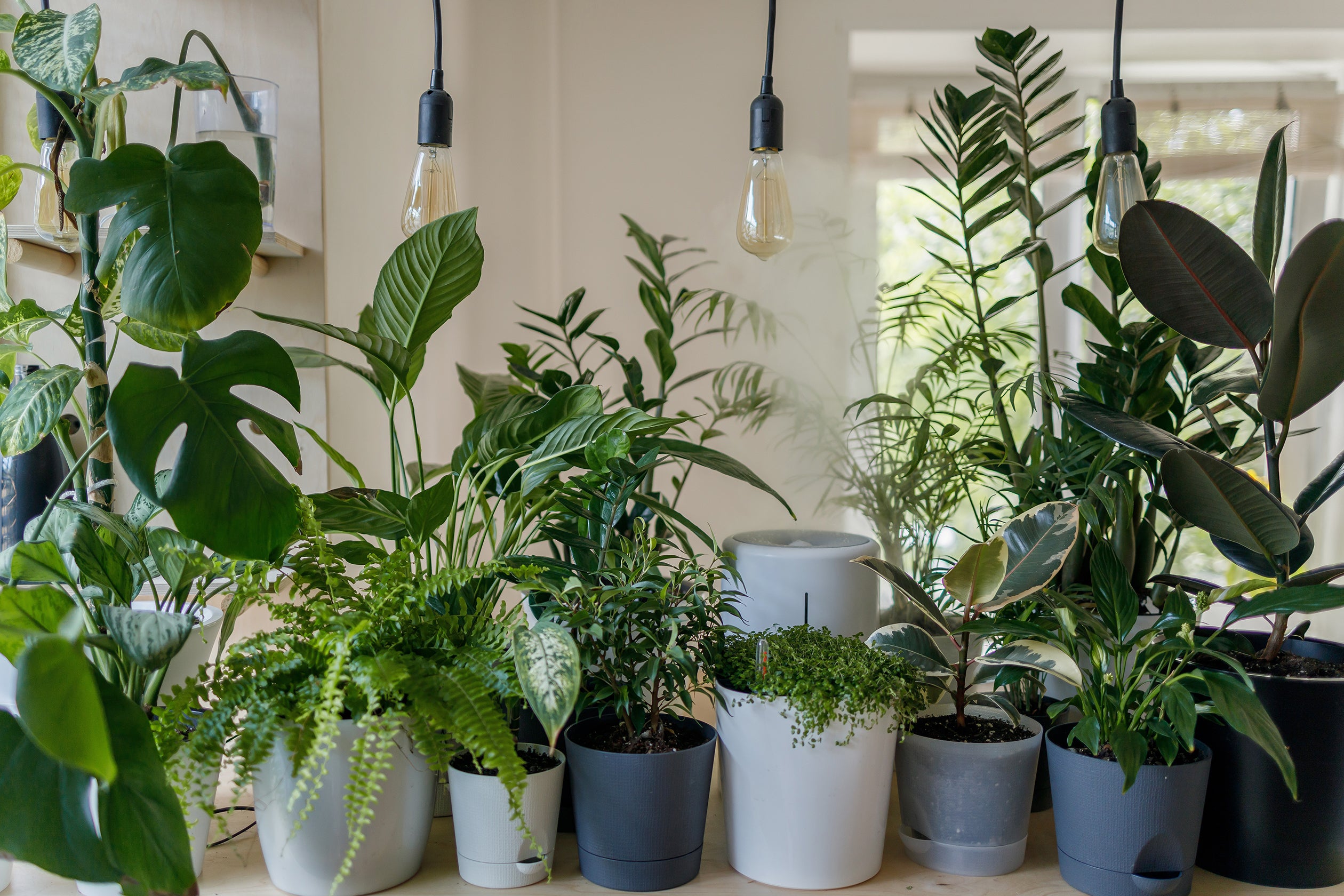10 Secrets to Reducing the Indoor Air Pollution in your Home