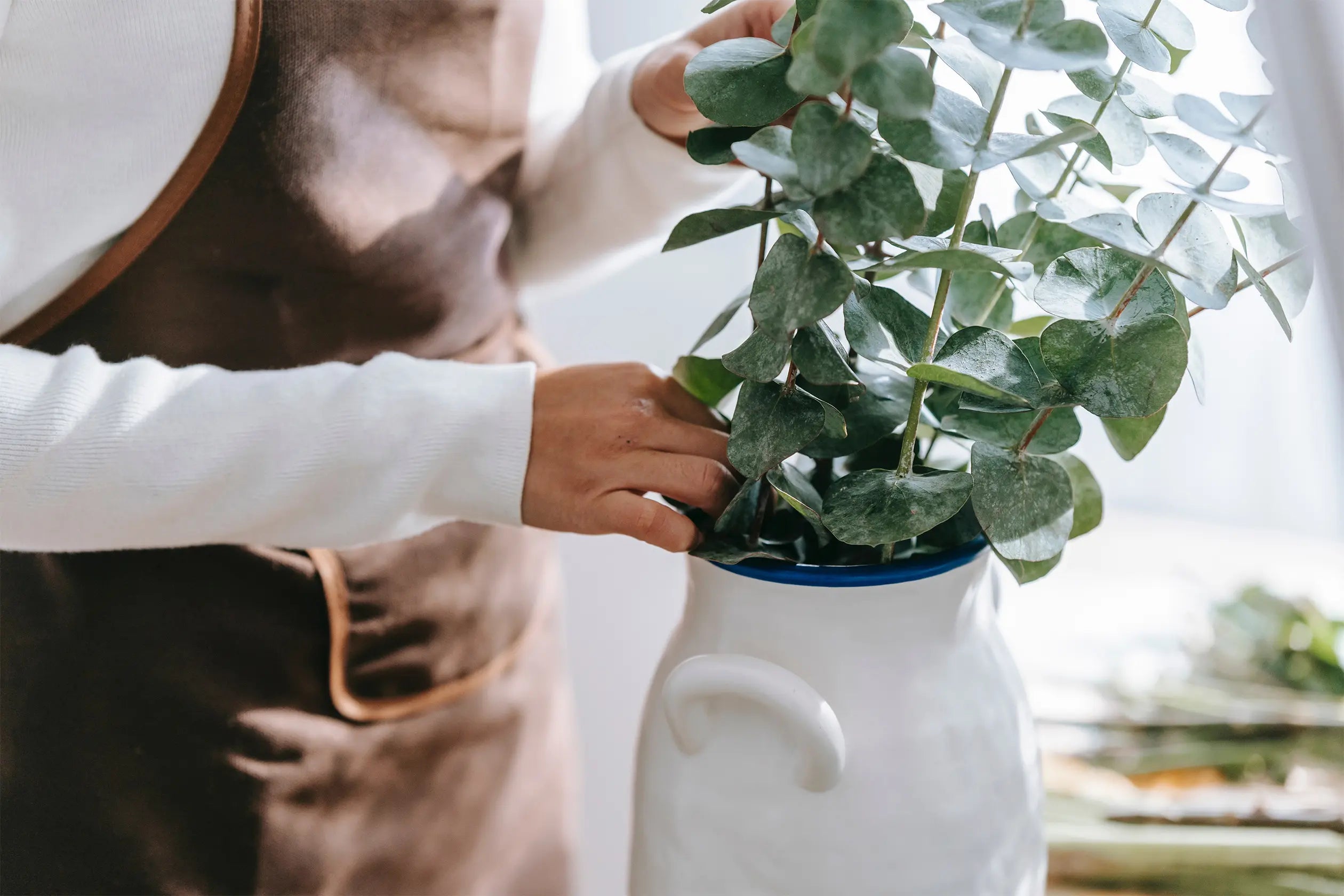 Spring Cleaning: A Quick Guide for the Eco-Conscious