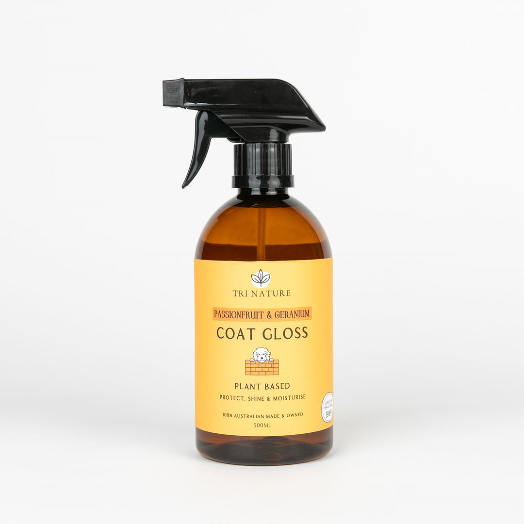 Coat Gloss