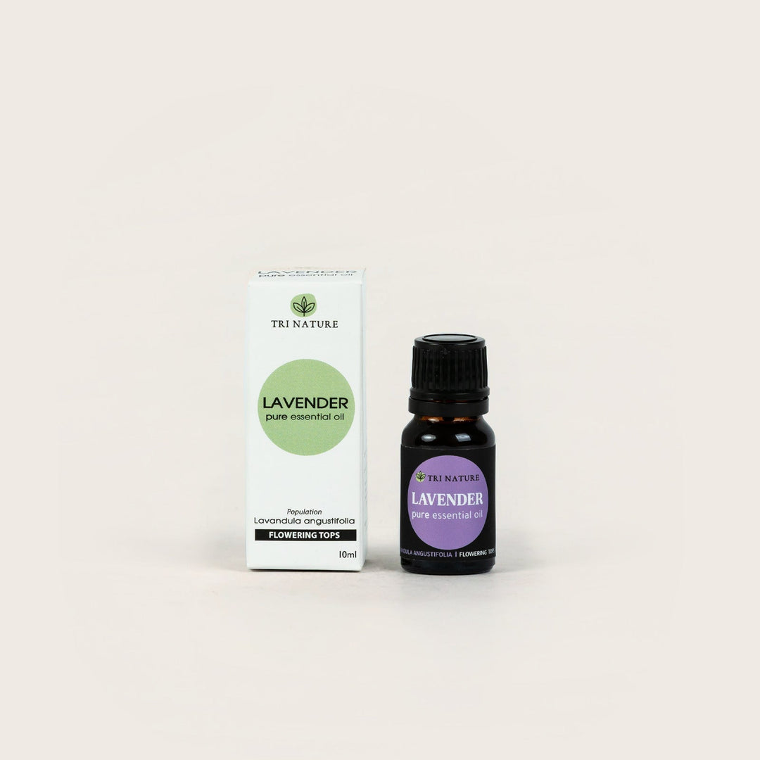 Lavender Essential Oil