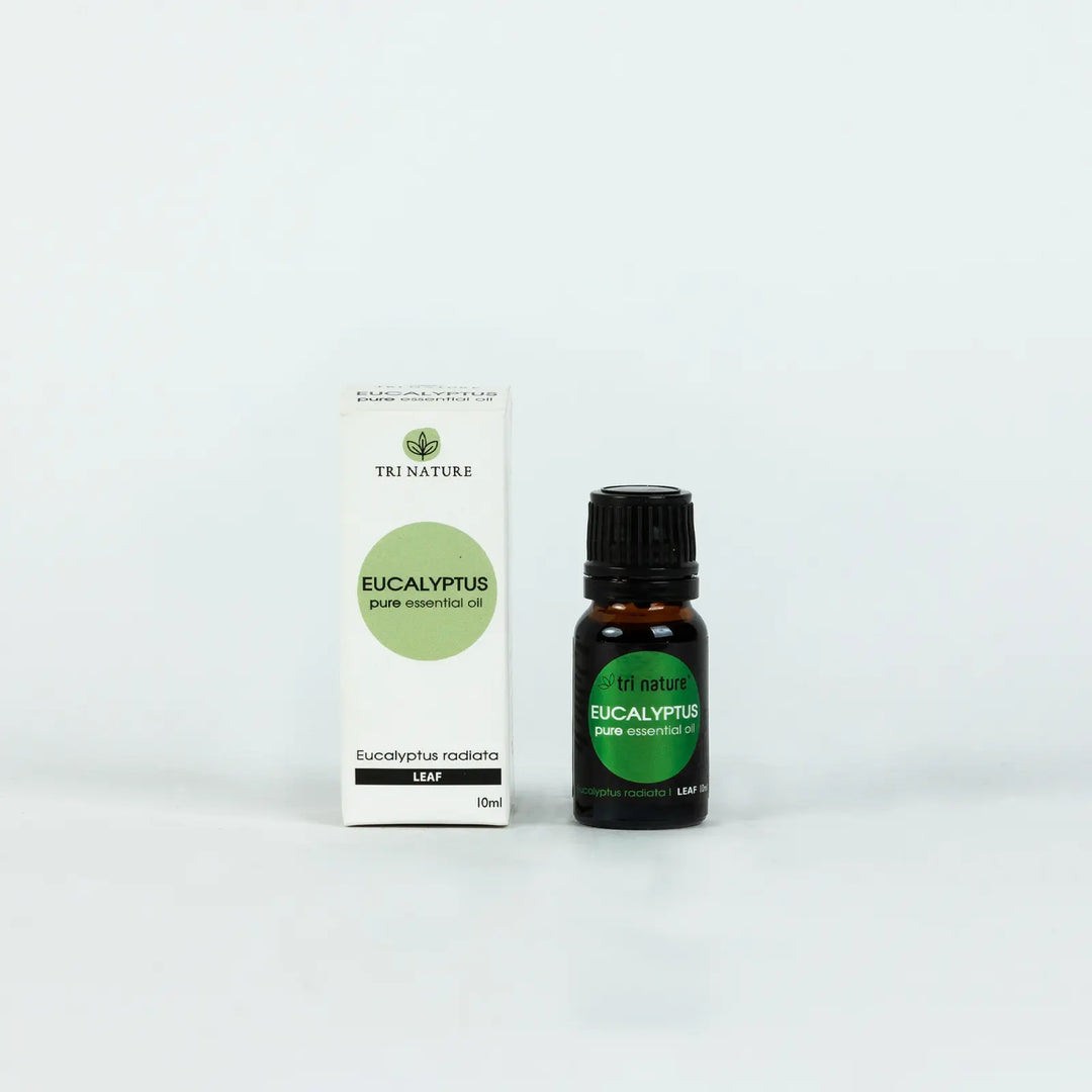 Eucalyptus Essential Oils