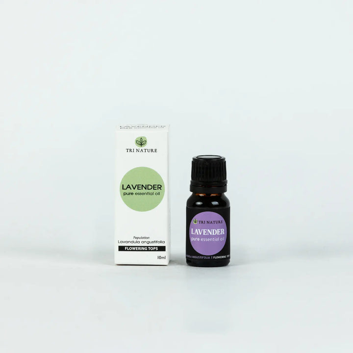 Lavender Essential Oil