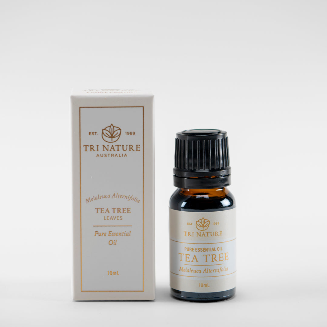 Tri Nature Tea Tree pure essential oil 10ml with box, photographed 2026