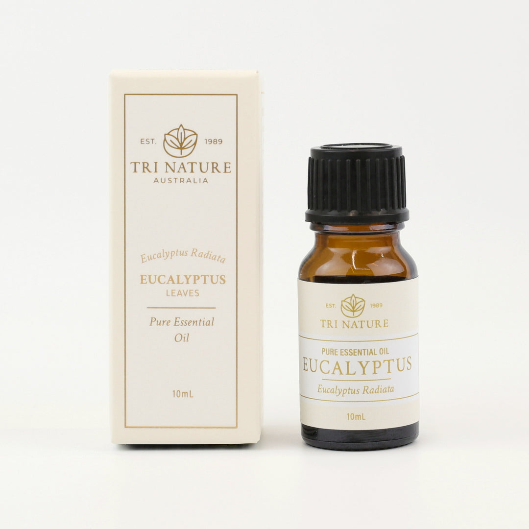 Tri Nature Eucalyptus Pure Essential Oil 10mL bottle with gift box